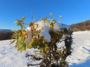 Miragoli con Monte Castello (1089 m), innevati e baciati dal sole-22nov25 - FOTOGALLERY
